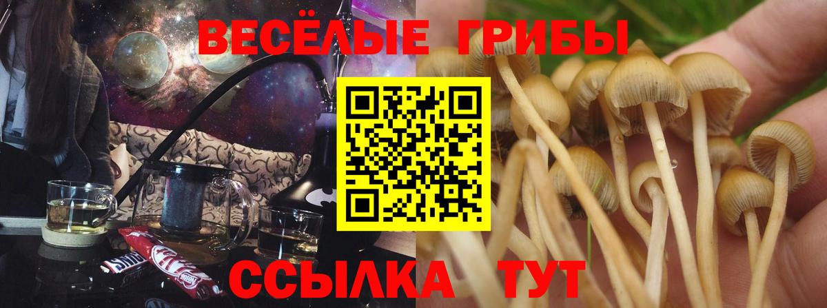 Псилоцибиновые грибы GOLDEN TEACHER  Вход с VPN  Реж 